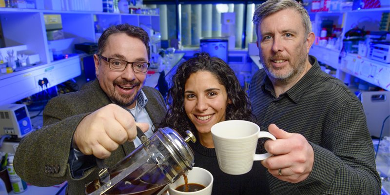 Como o café muda bactérias intestinais e afeta seu humor, segundo estudo inédito