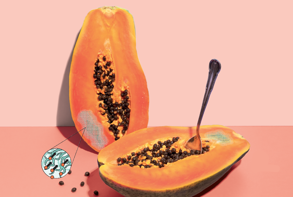 Duas metades de mamão papaia com sementes pretas, uma delas com uma colher de metal. Um círculo amplia uma área do mamão, mostrando moléculas azuis e laranjas em movimento, sobre um fundo rosa