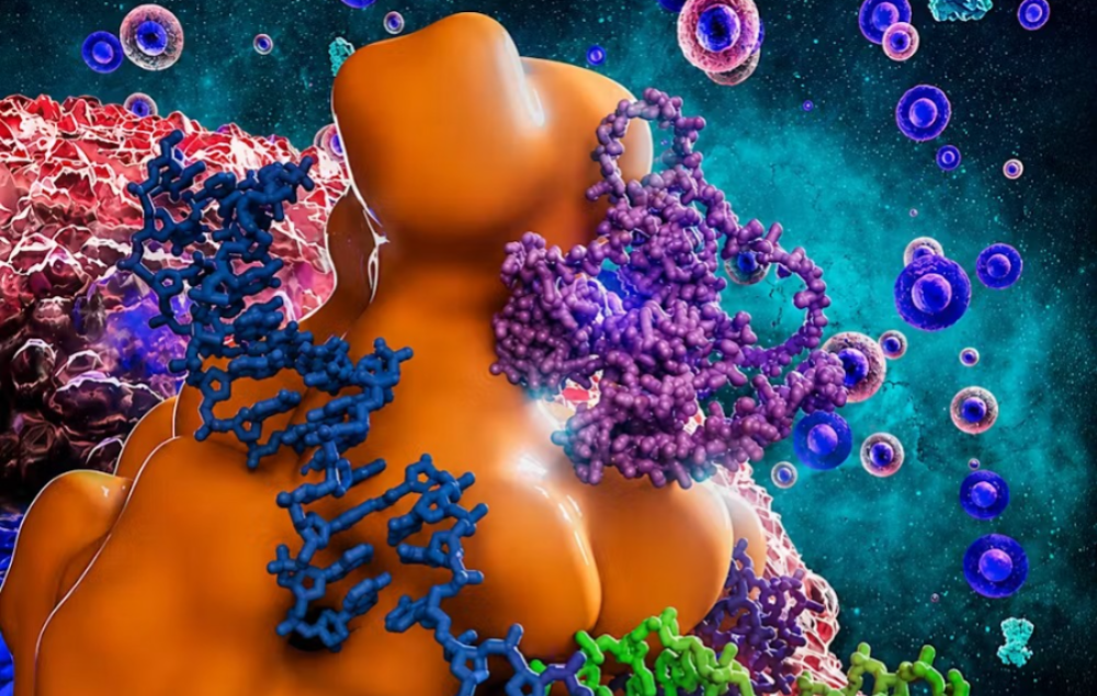 Chaperonas: as ‘guardiãs’ invisíveis do corpo que evitam doenças e têm ligação com câncer